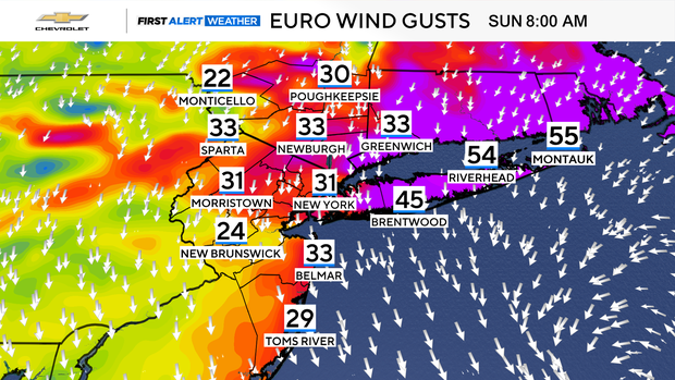 fa-futurecast-wind-gusts-euro.png