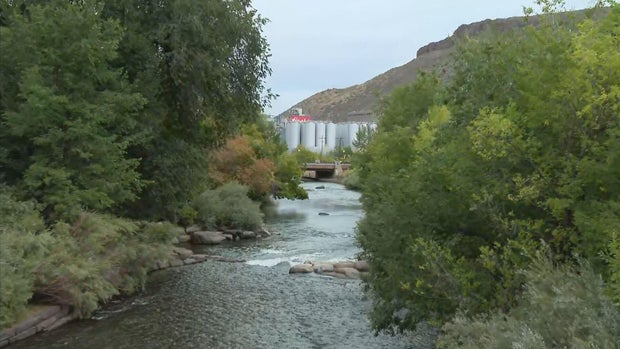 coors-creek-cleanup-6vo-transfer-frame-86.jpg