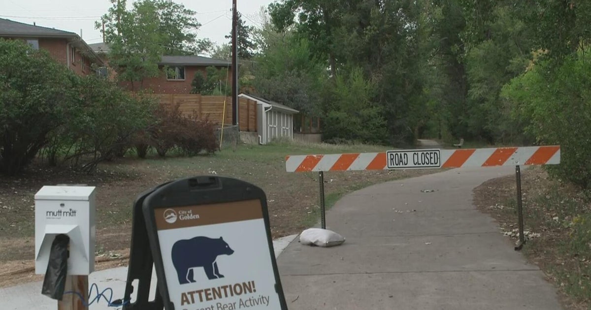 Crews close trail in Golden due to heavy bear activity