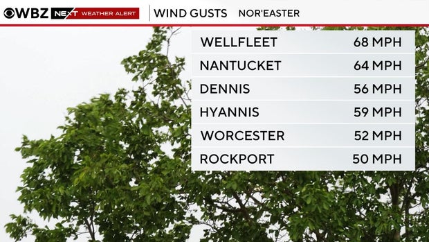 wbz-wind-gust-forecast.jpg 