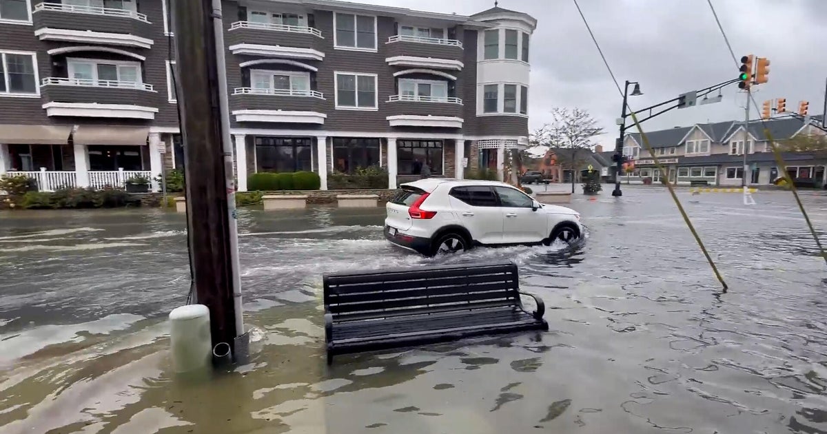 Watch: Videos show aftermath of nor’easter as streets flooded, events cancelled