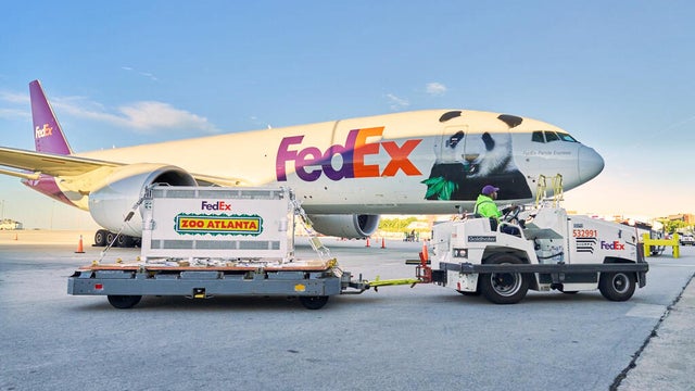 China US Pandas 