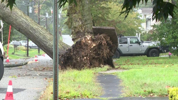tree-down-livingston-nj-hi-res-still-10-56-5623.jpg 