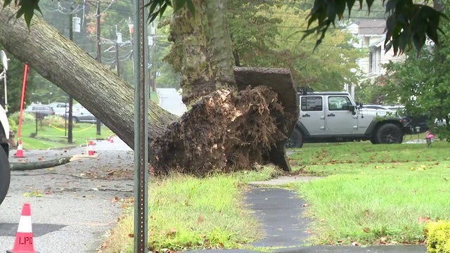 tree-down-livingston-nj-hi-res-still-10-56-5623.jpg 
