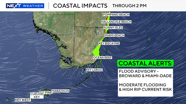 coastal-alert-miami.png 