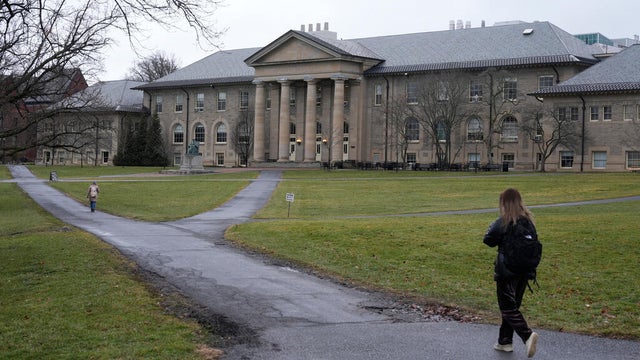 Cornell Investigation 