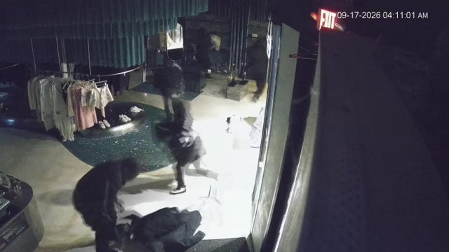 Detroit-area business temporarily closes after theft