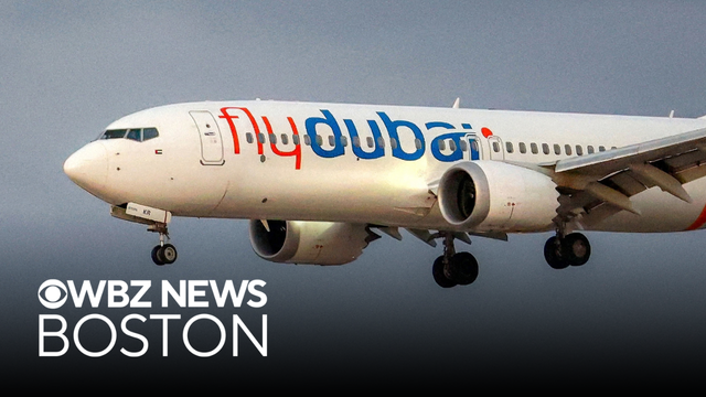 FlyDubai passengers help stop possible hijacking, terror attack