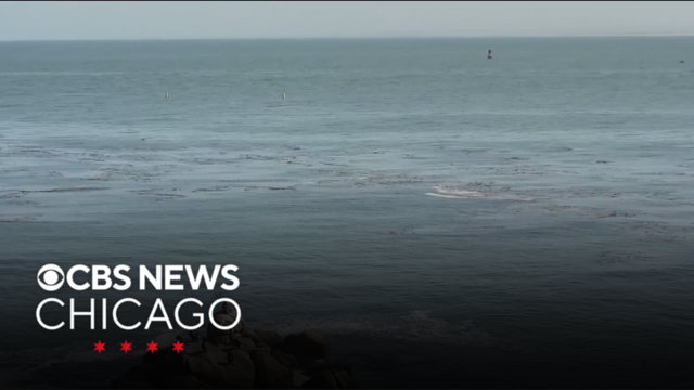 Oceans around world getting warmer, research finds