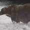 Backpack voted Fat Bear Week 2026 winner, beating former champ's offspring