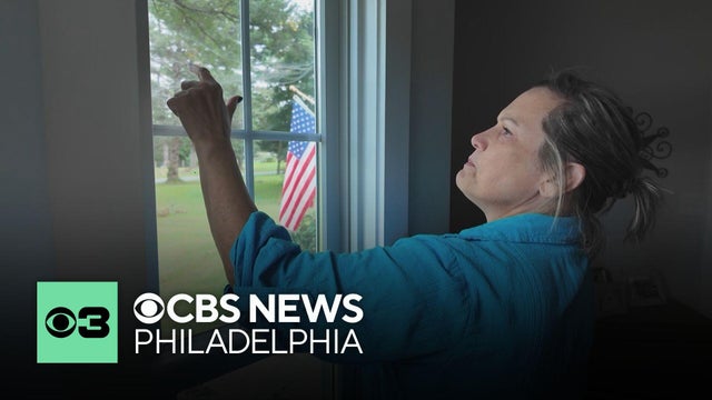 Phorid flies invade Chester County, Pennsylvania, neighborhood, frustrating residents