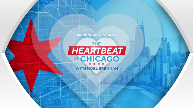 the-heartbeat-of-chicago.png 
