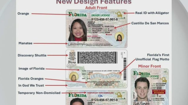 Florida begins issuing newly designed driver&rsquo;s licenses and ID cards