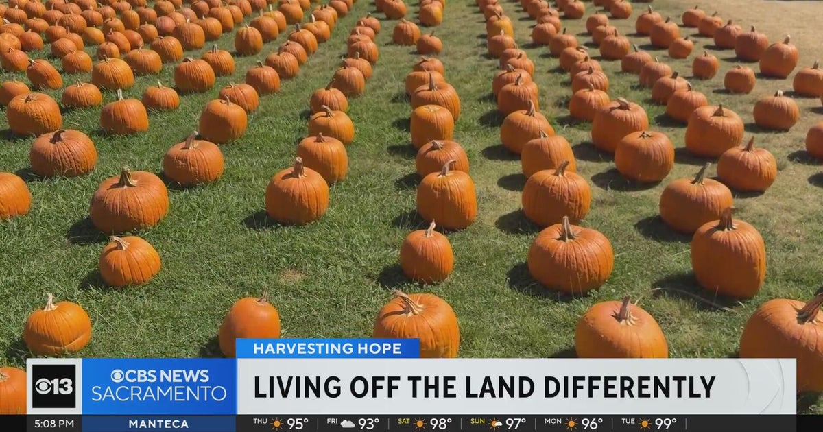 How California farmers are adapting to make ends meet