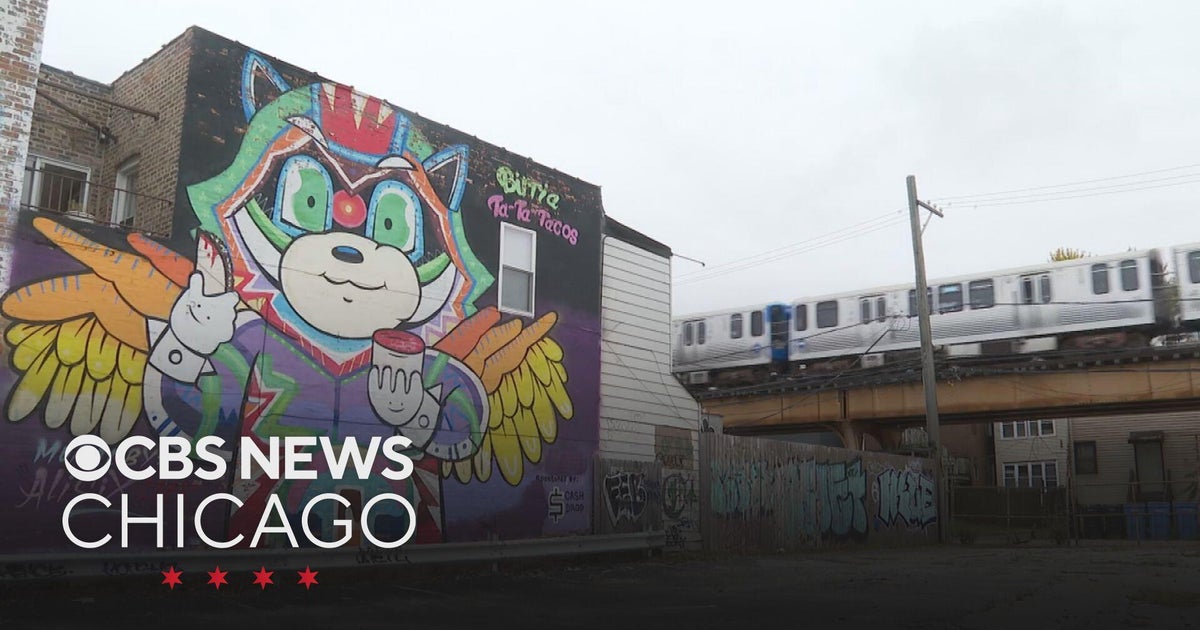 Chicago muralist Ali Six honoring Puerto Rican heritage through art ...