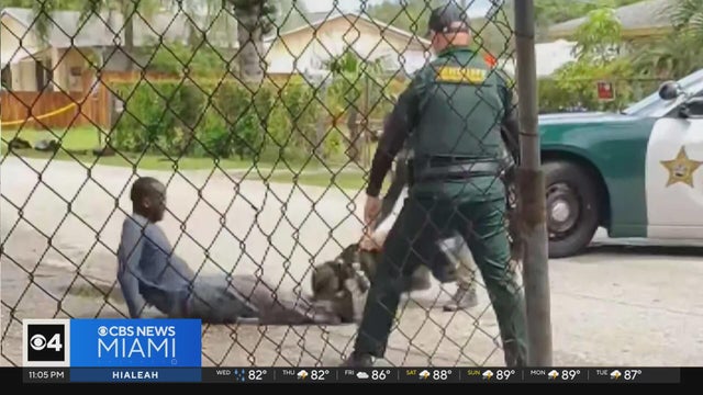Broward Sheriff's K-9 seen biting man during rough arrest caught on video