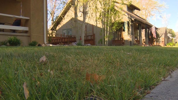 New watering restrictions take effect in Denver and Aurora; expect 