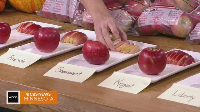 Check out these fall items at the Minneapolis Farmers Market