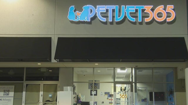 Arrest made after donation box stolen from veterinary hospital