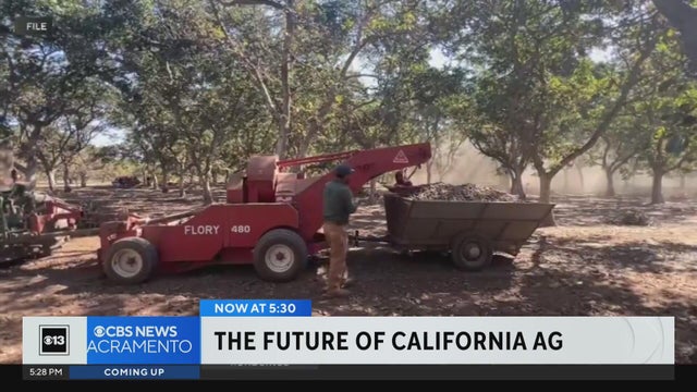 Examining the state of California's ag industry