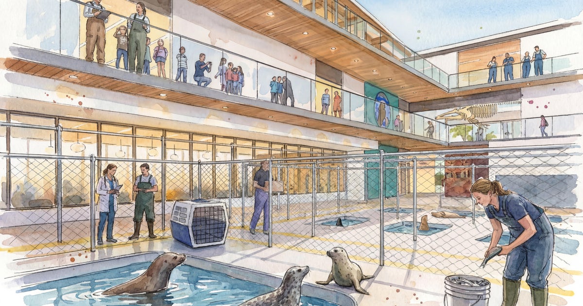 New Redondo Beach Site Chosen for Marine Mammal Care Center
