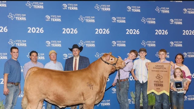 Grand champion steer sells for record $227,000 at State Fair of Texas