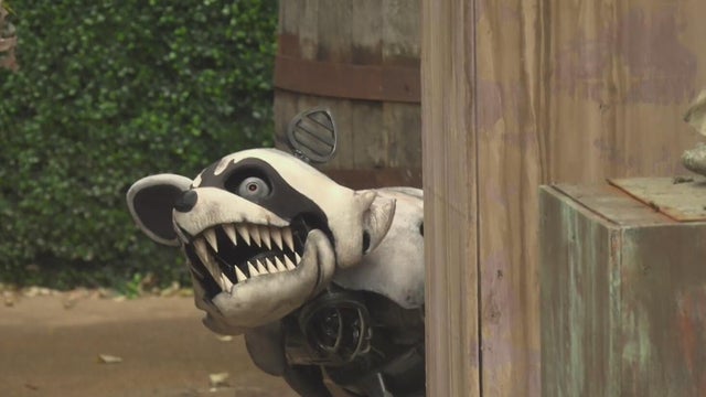 Robotic raccoon makes debut at haunted house