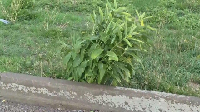 Colorado weather expert provides update on September rainfall in the state