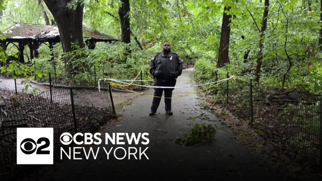Man arraigned for allegedly killing woman in Central Park