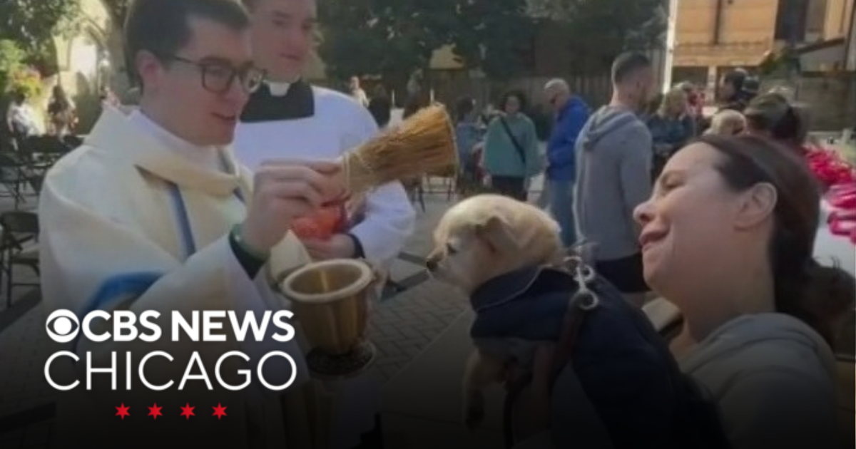 Holy Name Cathedral holds annual Blessing of the Pets