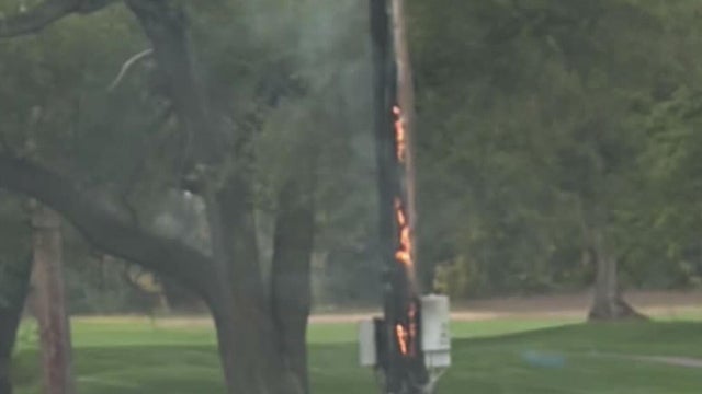 Woman accused of setting utility pole on fire