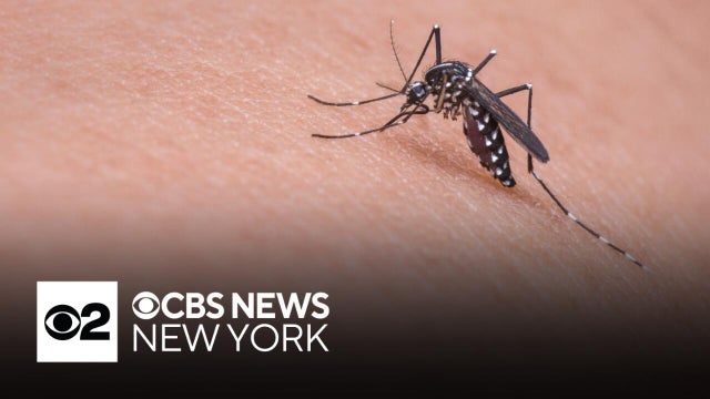 New Jersey reports state's 1st West Nile virus death of the year
