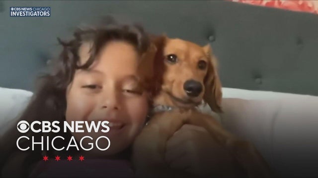 How did this 6-year-old girl get run over by her school bus in Frankfort, Illinois?