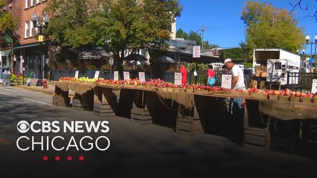 Apple Fest continues in Chicago's Lincoln Square community