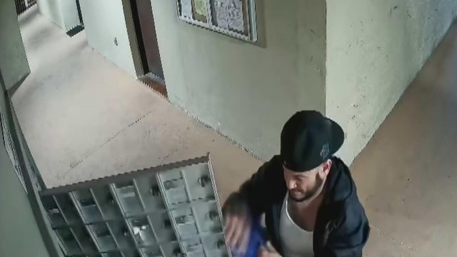 Man accused of stealing mail at West Miami-Dade apartment complex