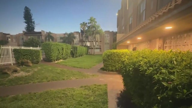 Miami apartment window fall 