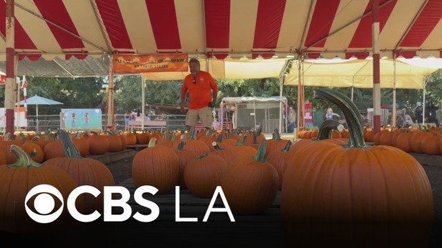 Families push through sweltering SoCal heat to visit local pumpkin patches