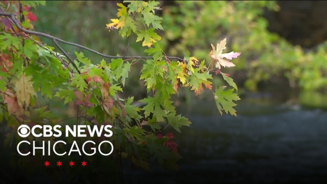 It&rsquo;s leaf peeping season