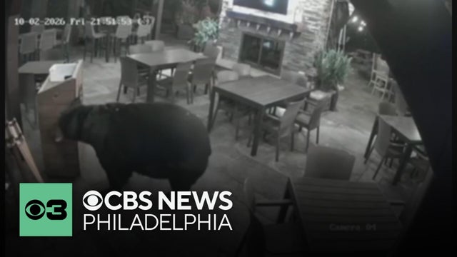 Bear seen on security camera entering Pennsylvania restaurant