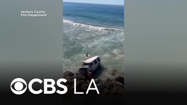 Ventura County firefighters rescue dog after car veers off Pacific Coast Highway in Malibu