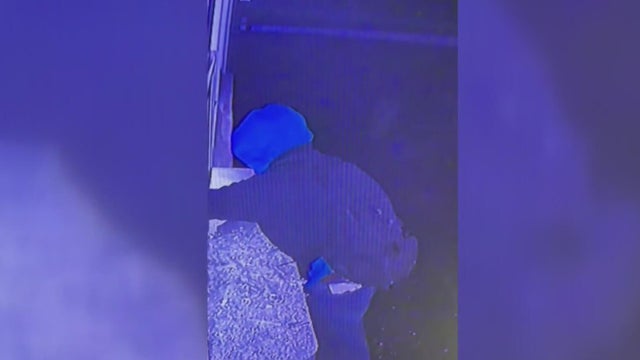 Bruster's Real Ice Cream location in New Stanton temporarily closed following break-in