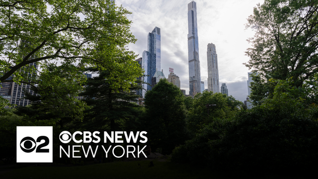 Cyclist died after colliding with dog in Central Park