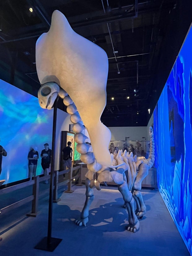 pokemon-exhibit-5.jpg