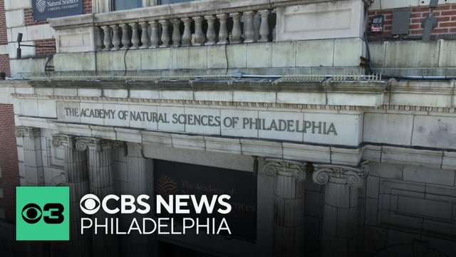 Hearing about future of Academy of Natural Sciences postponed. Here's why.