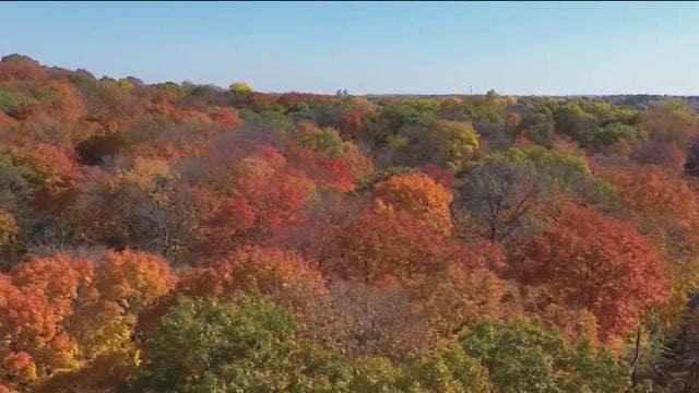 How to plan your fall color trip in Michigan