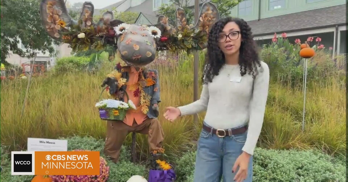 Scarecrows take over Scarecrow Hill at the Minnesota Landscape ...