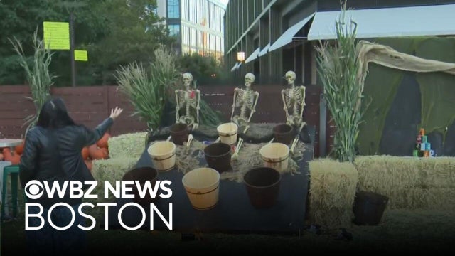 10,000 pumpkins and fall fun on display in Boston's Seaport District