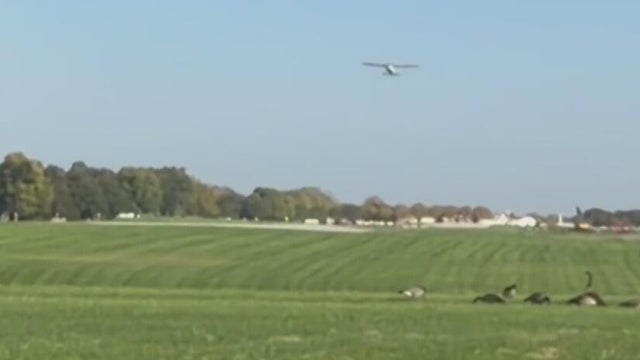 Bolingbrook Plane 