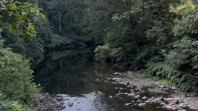 Wissahickon Creek 