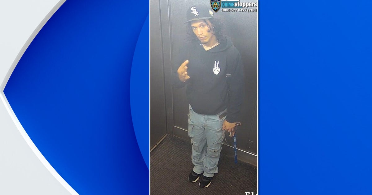Suspect ID'd after woman, infant pushed from 15th-floor Bronx balcony, police say